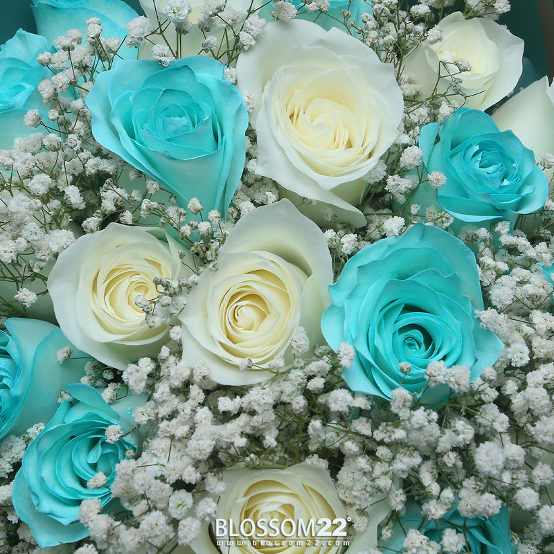 【極罕鮮花】29 蒂芬妮藍混白玫瑰鮮花束｜29 Tiffany Blue mix White Fresh Bouquet 花束 bouquet 鮮花束 Blossom22°