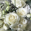 White Rose & Acacia Bouquet 白玫瑰及桔梗 Wedding Bouquet 結婚花球 Blossom22°