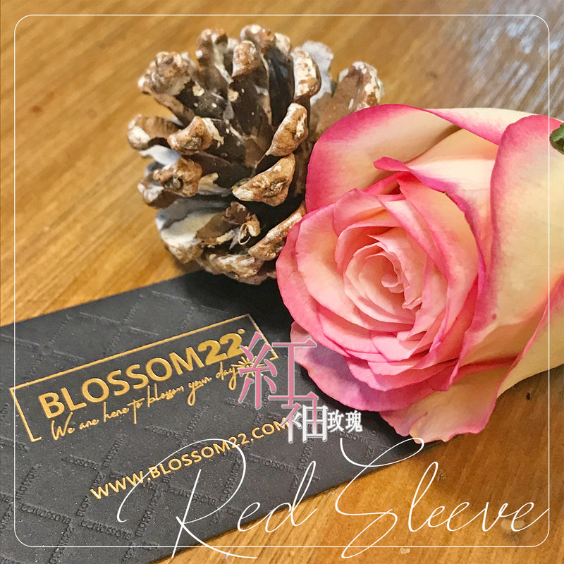 29枝 粉邊玫瑰｜29 Bi-colour Cream & Hot Pink(La Paloma） 花束 bouquet 鮮花束 BLOSSOM22