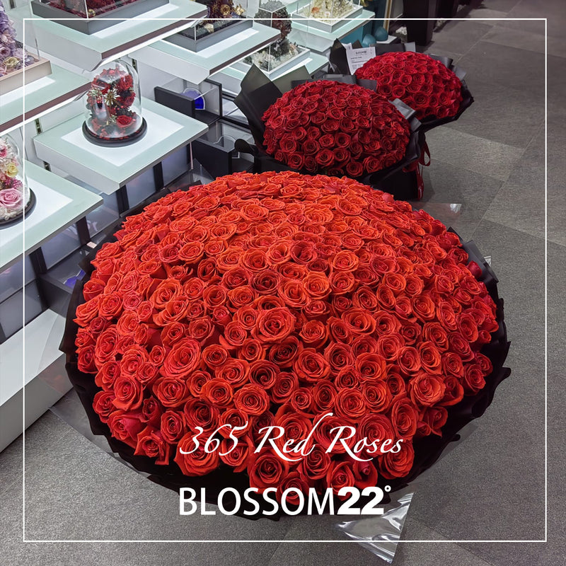 365枝 紅玫瑰花束｜365 Red Roses Bouquet fresh bouquet 鮮花束 Blossom22°