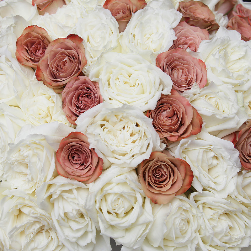 99枝 肯亞咖啡及白玫瑰混合花束｜99 Mixed Kenya Coffee Roses and White Roses (Coffee Time) fresh bouquet 鮮花束 Blossom22°