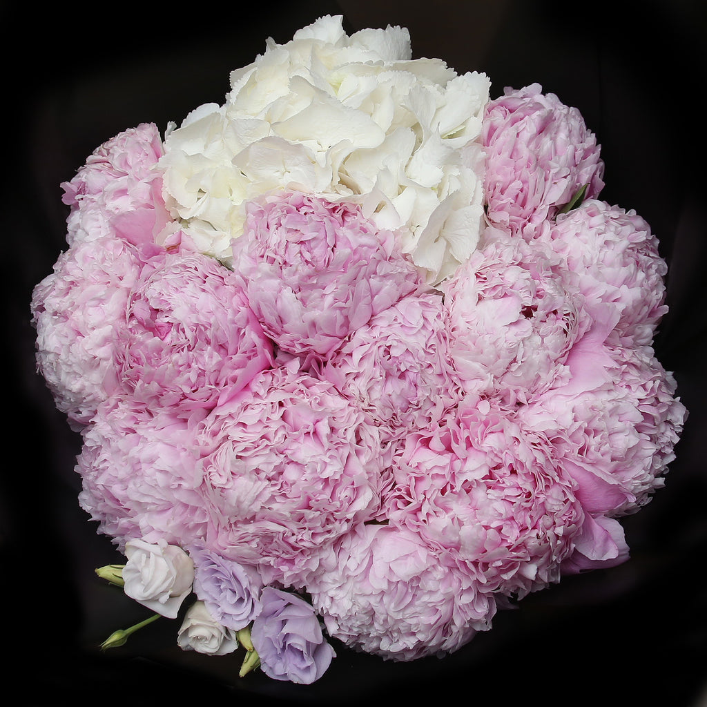 10牡丹繡球花束 ｜10 Peony & Hydrangea (4-6月限定) fresh bouquet 鮮花束 BLOSSOM22