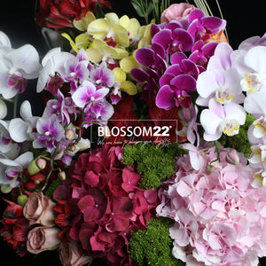 花盒設計 03｜Flower Box Arrangement 03  Blossom22°