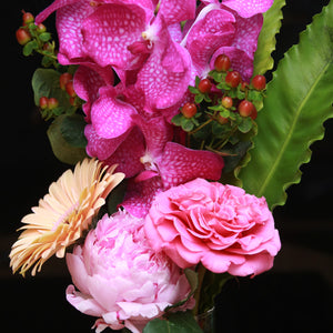花瓶盆裁 01｜Flower Pot Arrangement 01  Blossom22°
