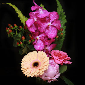 花瓶盆裁 01｜Flower Pot Arrangement 01  Blossom22°