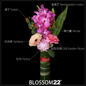 花瓶盆裁 01｜Flower Pot Arrangement 01  Blossom22°