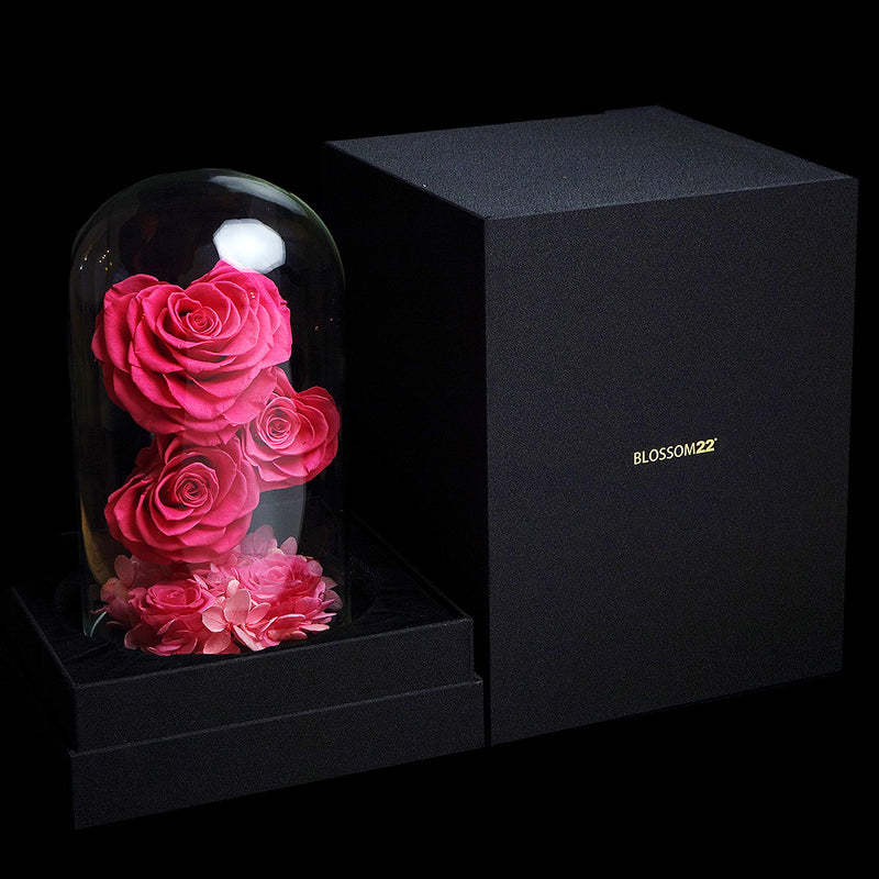 桃紅心型玫瑰保鮮花瓶｜Fuchisa Heart Roses Preserved Flower Bell Jar  Blossom22hk