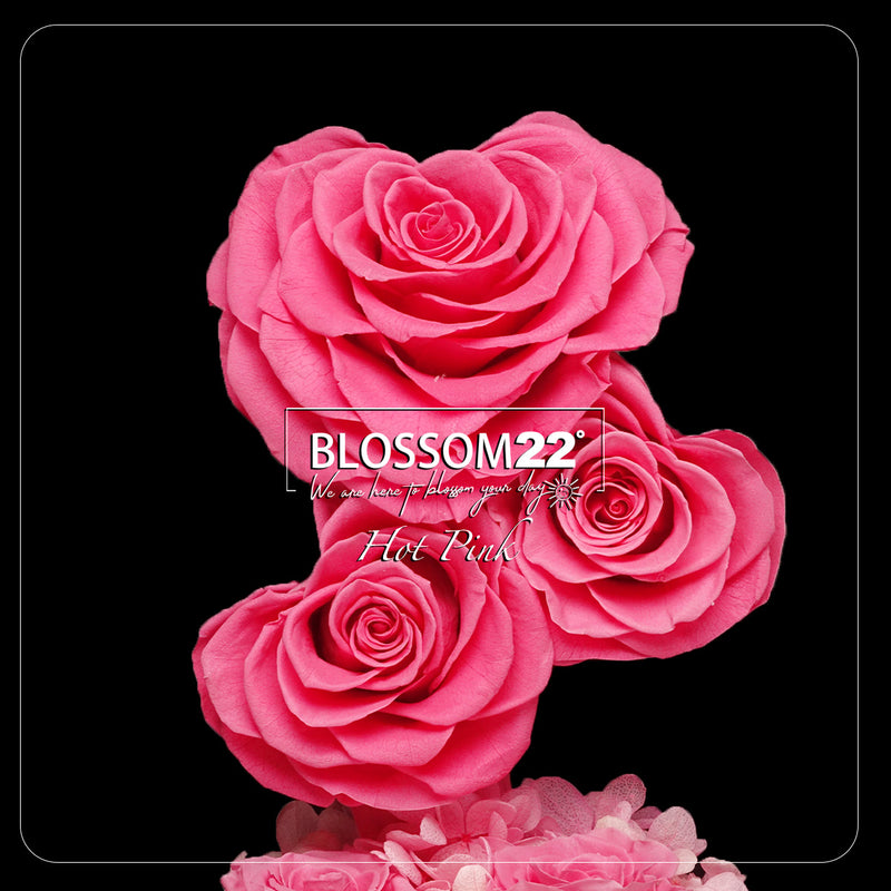 桃紅心型玫瑰保鮮花瓶｜Fuchisa Heart Roses Preserved Flower Bell Jar  Blossom22hk