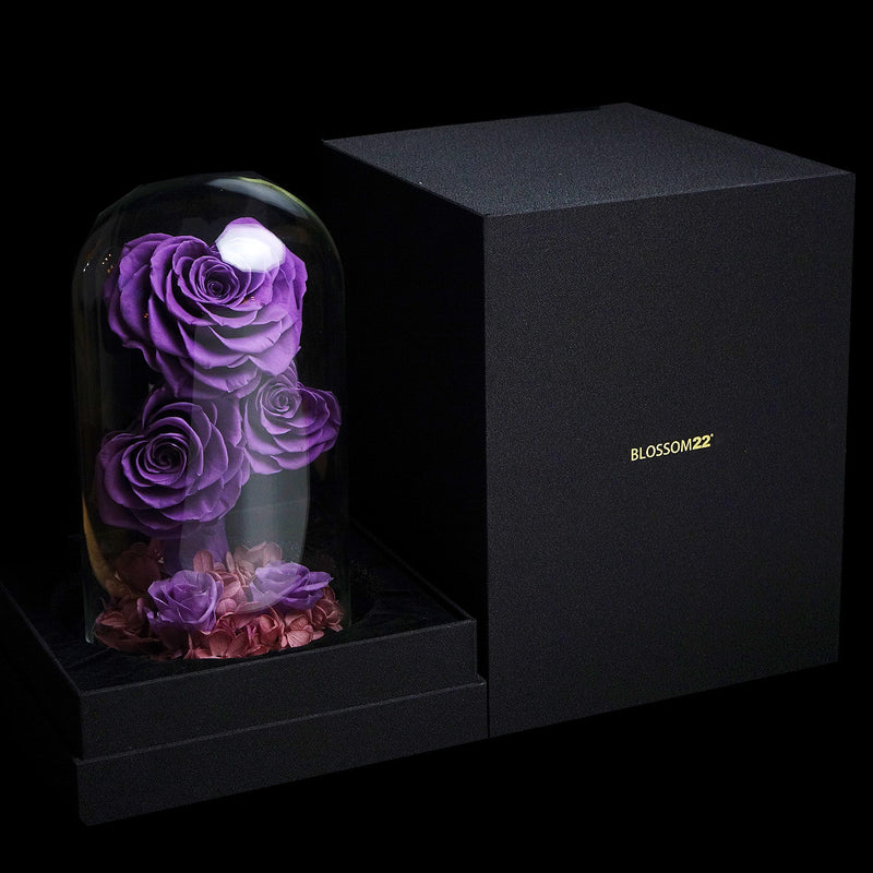 紫心型玫瑰保鮮花瓶｜Purple Heart Roses Preserved Flower Bell Jar  Blossom22hk