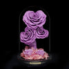 紫心型玫瑰保鮮花瓶｜Purple Heart Roses Preserved Flower Bell Jar  Blossom22hk