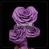 紫心型玫瑰保鮮花瓶｜Purple Heart Roses Preserved Flower Bell Jar  Blossom22hk