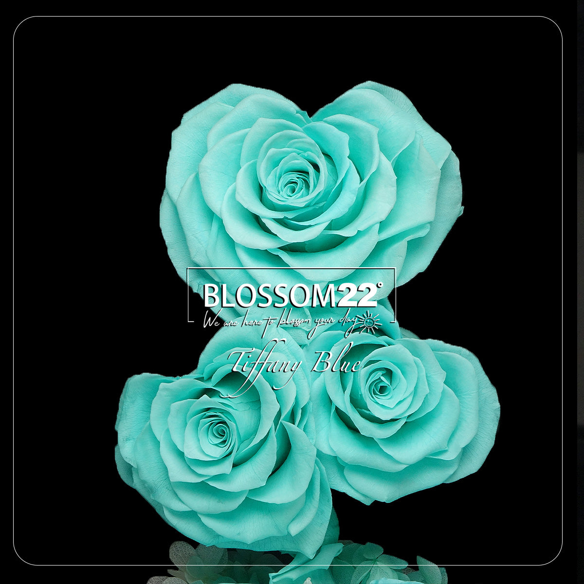 蒂芬妮心型玫瑰保鮮花瓶｜Tiffany Blue Heart Roses Preserved Flower Bell Jar  Blossom22hk