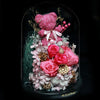 桃紅色摩絲熊保鮮花瓶｜Fuchisa Moss Bear Preserved Flower Bell Jar (Standard)  Blossom22hk