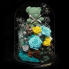 蒂芬妮摩絲熊保鮮花瓶｜Tiffany Blue Moss Bear Preserved Flower Bell Jar (Standard)  Blossom22hk