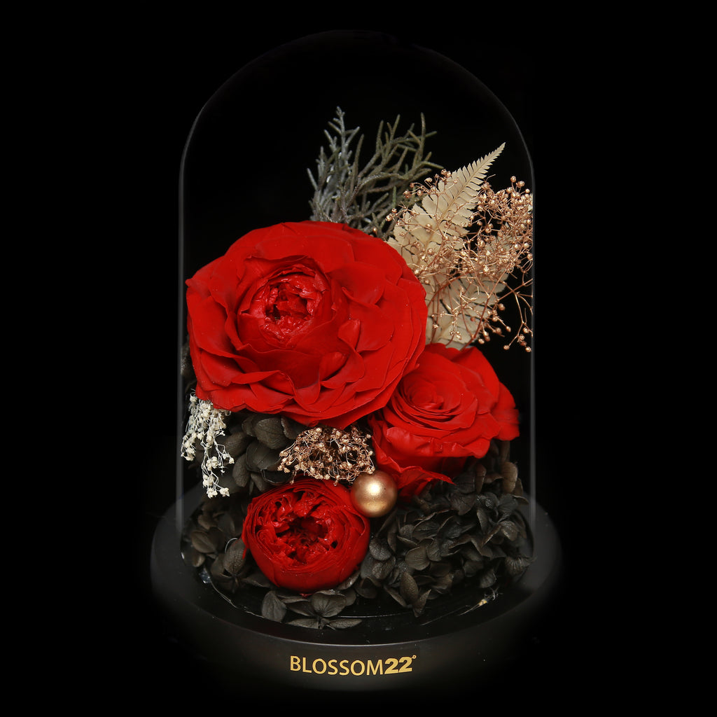 Standard Preserved-Flower•Glass Bell Jar｜標準版保鮮花瓶 01  Blossom22hk