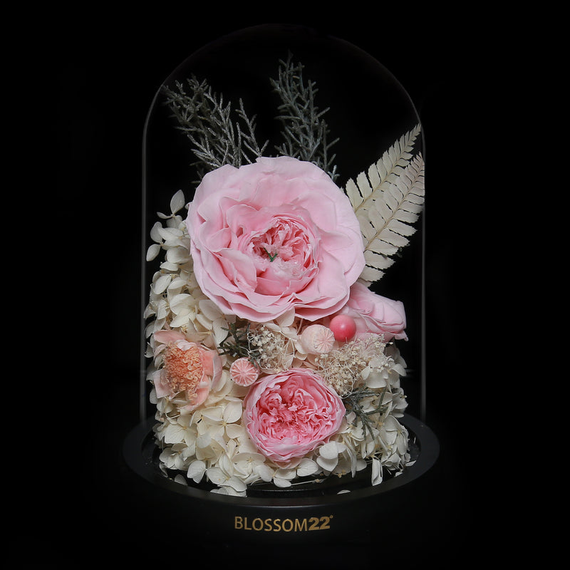 Standard Preserved-Flower•Glass Bell Jar｜標準版保鮮花瓶 02  Blossom22hk