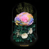Standard Preserved-Flower•Glass Bell Jar｜標準版保鮮花瓶 10  Blossom22hk