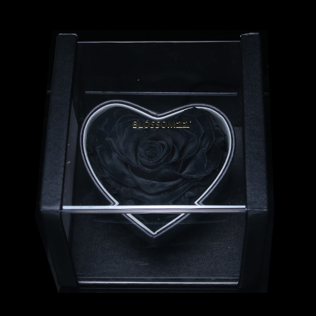 XXL Heart Rose Preserved Flower Box｜巨型心型玫瑰保鮮花盒 - Black（黑)  Blossom22°