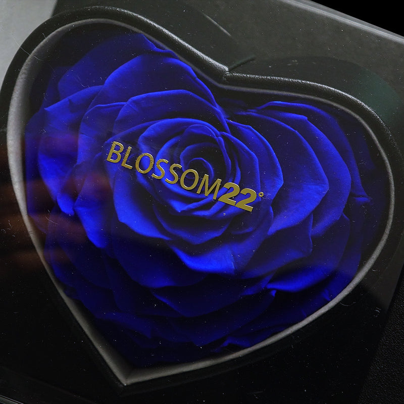 XXL Heart Rose Preserved Flower Box｜巨型心型玫瑰保鮮花盒 - Blue（藍)  Blossom22°