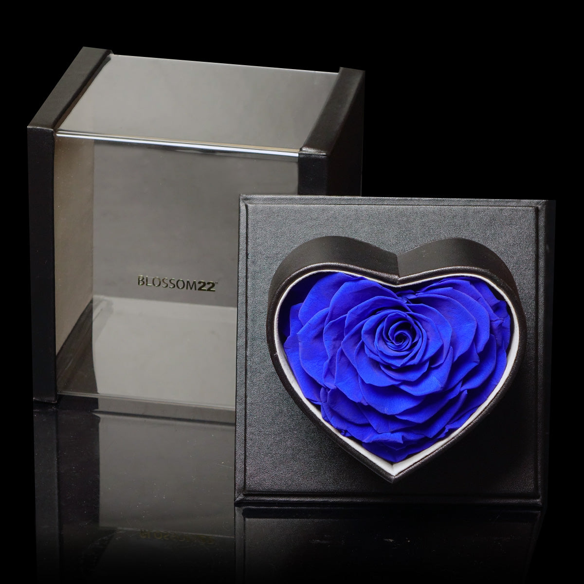 XXL Heart Rose Preserved Flower Box｜巨型心型玫瑰保鮮花盒 - Blue（藍)  Blossom22°