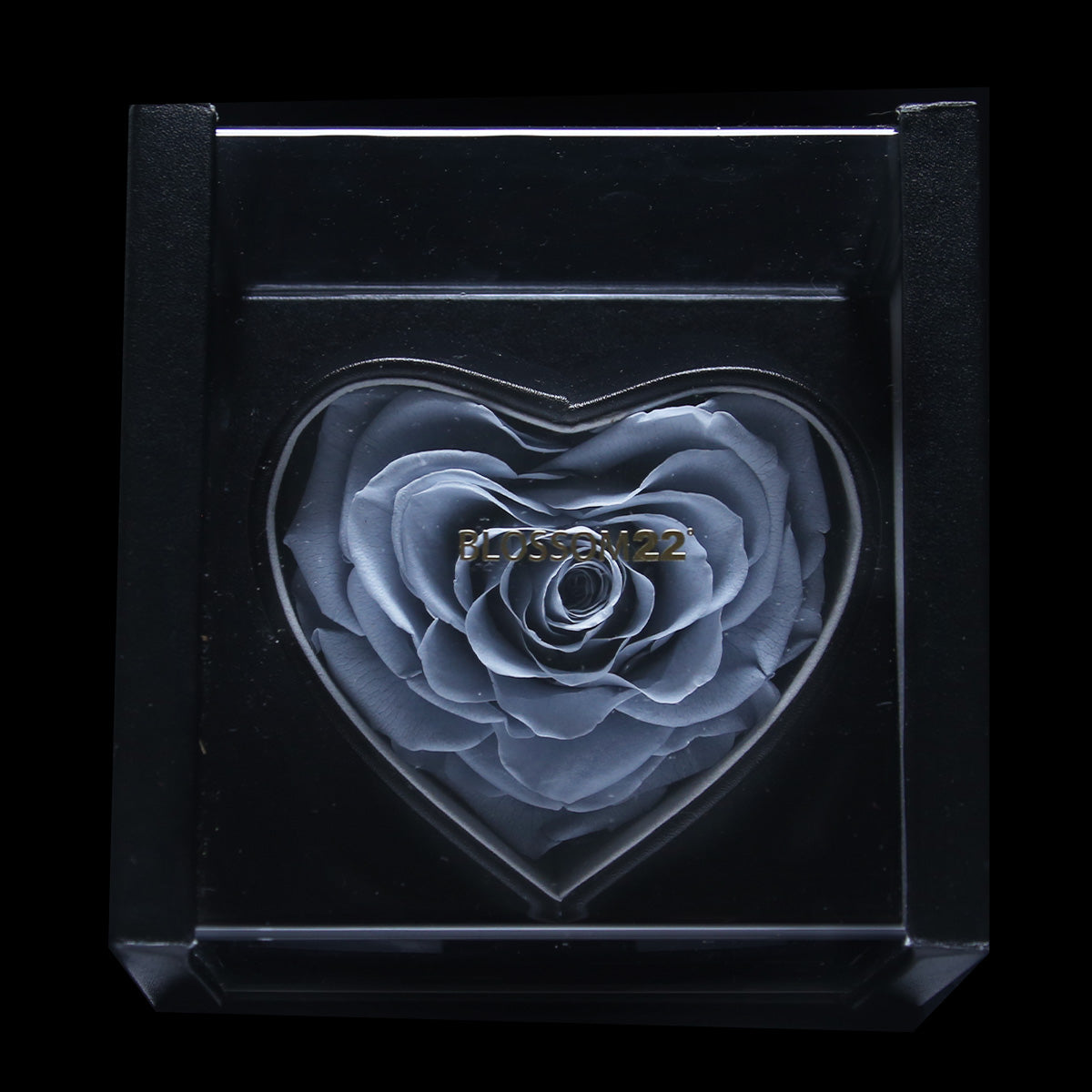 XXL Heart Rose Preserved Flower Box｜巨型心型玫瑰保鮮花盒 - Gery（灰)  Blossom22°