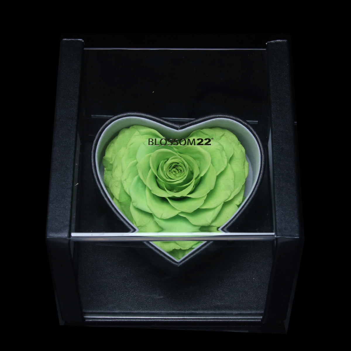 XXL Heart Rose Preserved Flower Box｜巨型心型玫瑰保鮮花盒 - Green（綠)  Blossom22°