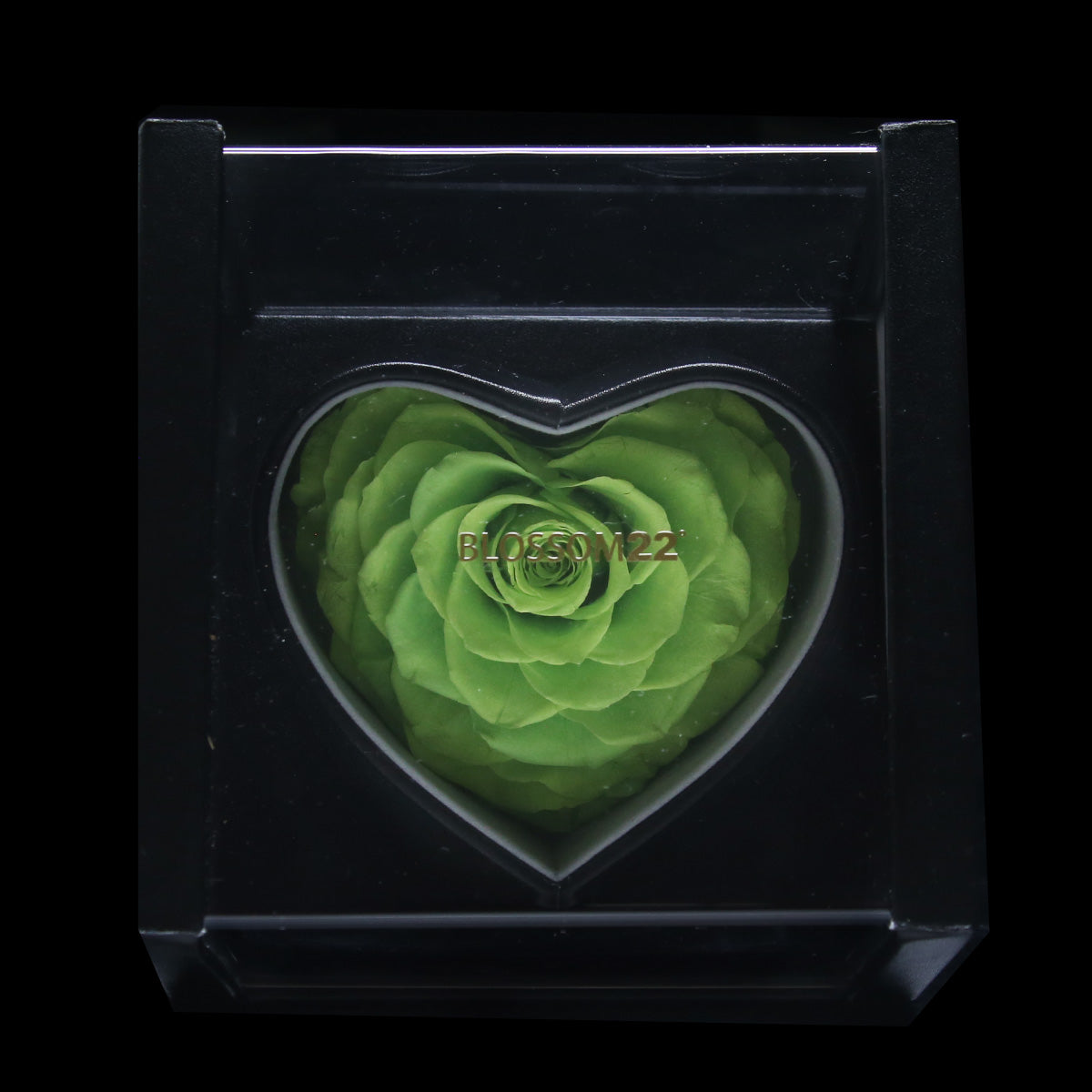 XXL Heart Rose Preserved Flower Box｜巨型心型玫瑰保鮮花盒 - Green（綠)  Blossom22°