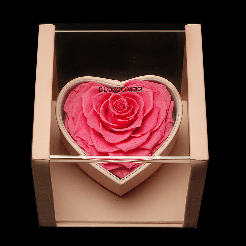 XXL Heart Rose Preserved Flower Box｜巨型心型玫瑰保鮮花盒 - Hot Pink（桃紅)  Blossom22°