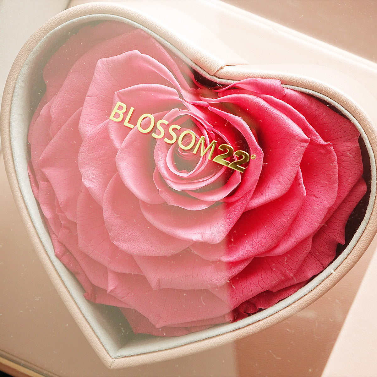 XXL Heart Rose Preserved Flower Box｜巨型心型玫瑰保鮮花盒 - Hot Pink（桃紅)  Blossom22°