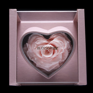 XXL Heart Rose Preserved Flower Box｜巨型心型玫瑰保鮮花盒 - Pink（粉紅)  Blossom22°