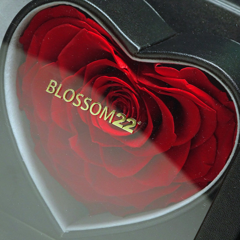 XXL Heart Rose Preserved Flower Box｜巨型心型玫瑰保鮮花盒 - Red（紅)  Blossom22°