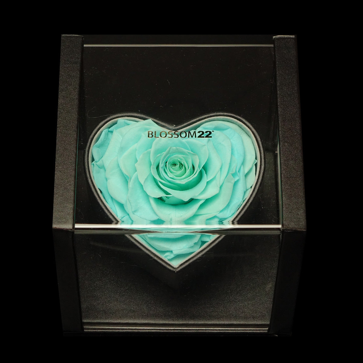 XXL Heart Rose Preserved Flower Box｜巨型心型玫瑰保鮮花盒 - Tiffany Blue（蒂芙尼藍)  Blossom22°