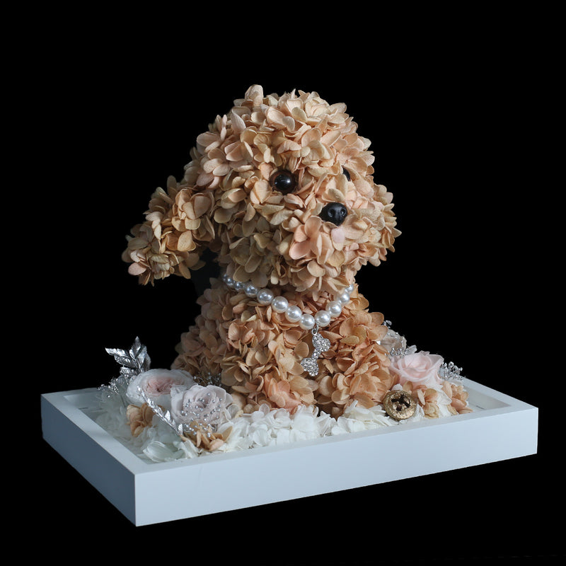 啡色保鮮花貴婦狗｜Brown Preserved Flower Poodle  Blossom22°