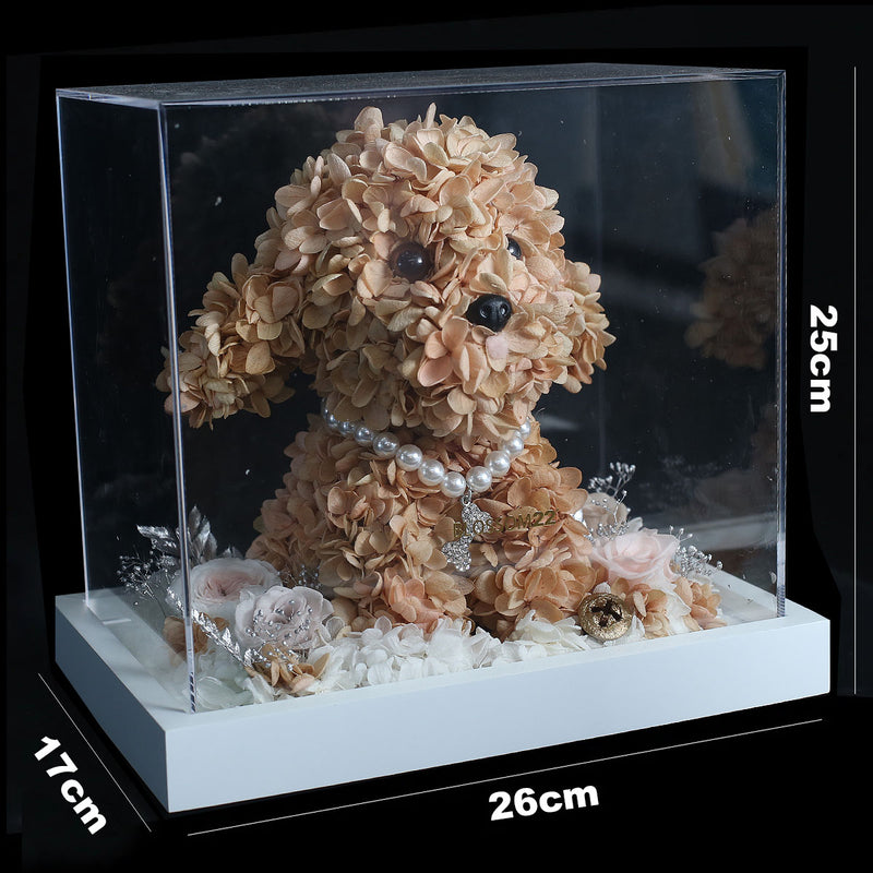 啡色保鮮花貴婦狗｜Brown Preserved Flower Poodle  Blossom22°