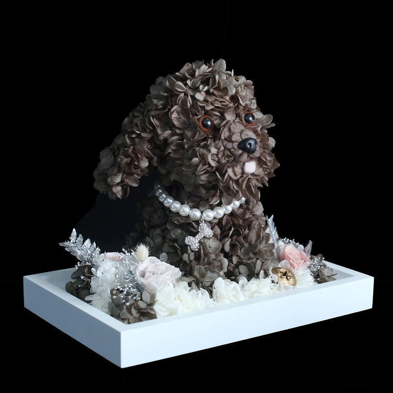 朱古力色保鮮花貴婦狗｜Chocolate Preserved Flower Poodle  Blossom22°