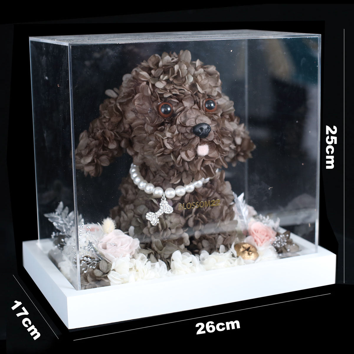 朱古力色保鮮花貴婦狗｜Chocolate Preserved Flower Poodle  Blossom22°