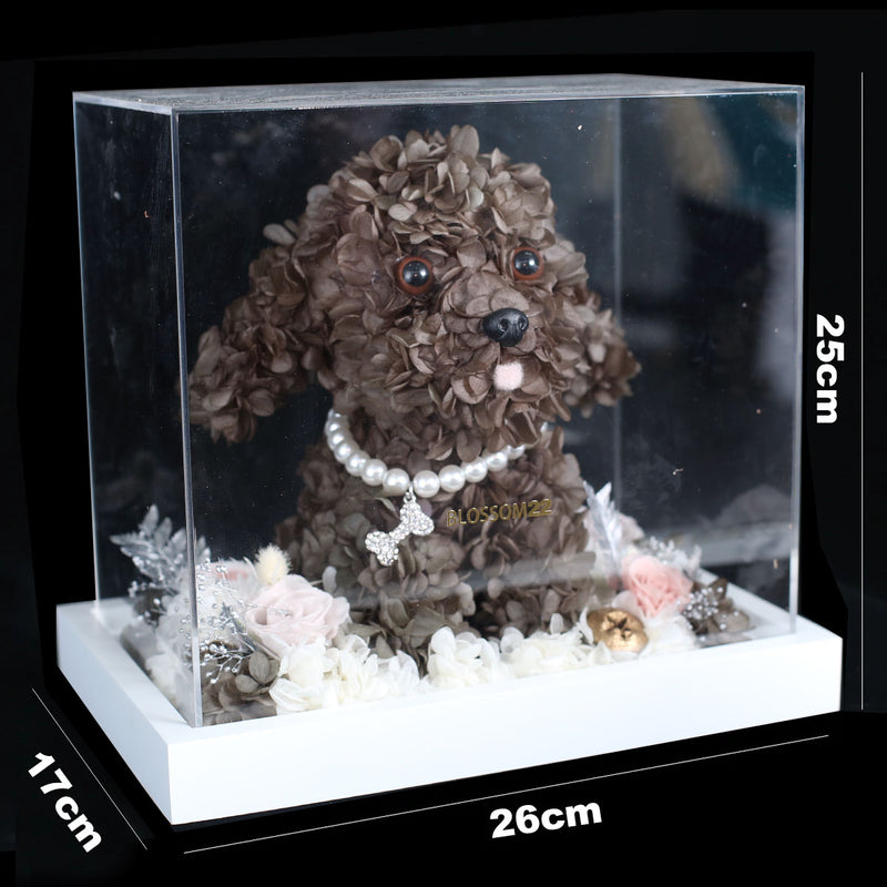 朱古力色保鮮花貴婦狗｜Chocolate Preserved Flower Poodle  Blossom22°
