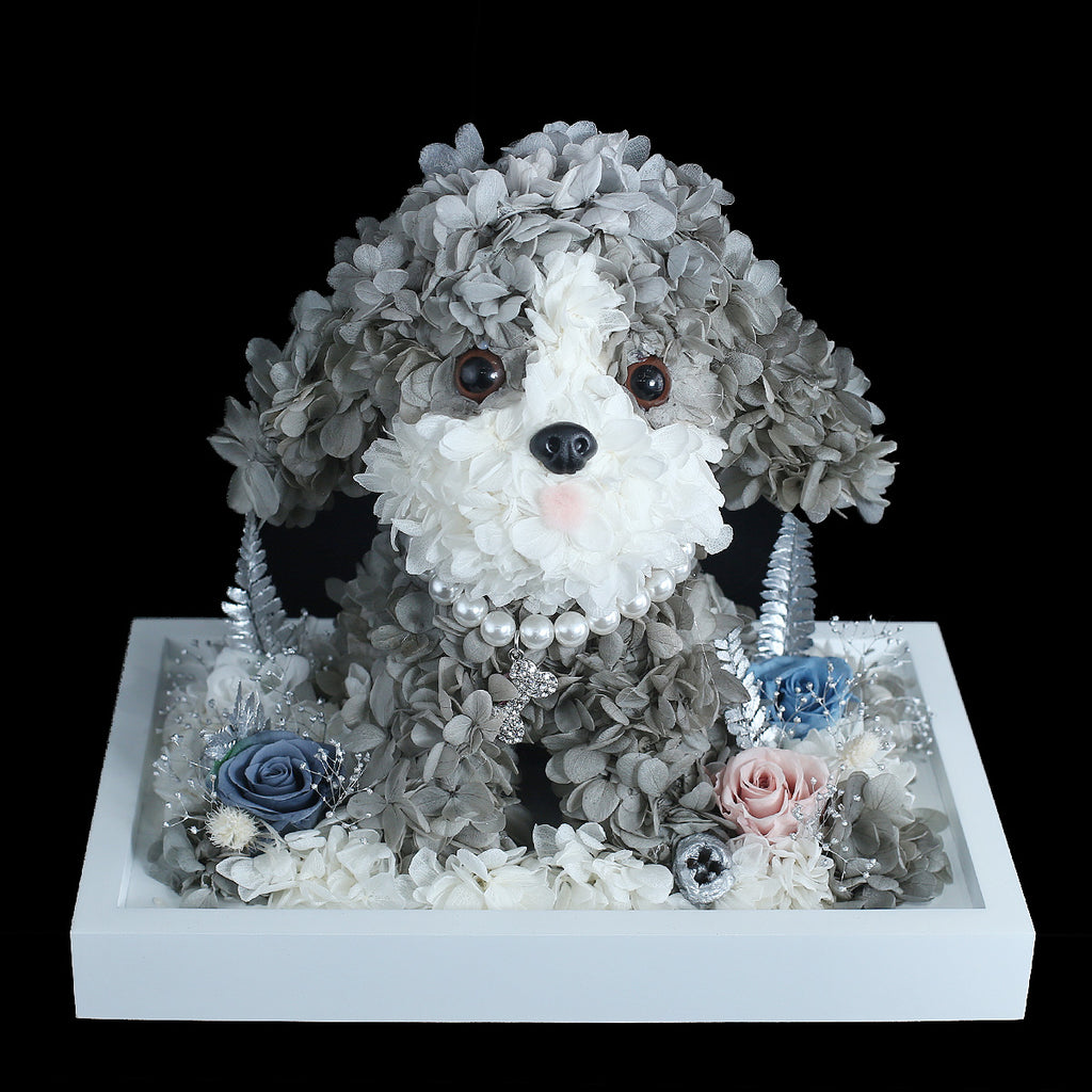 灰白色保鮮花貴婦狗｜Grey White Preserved Flower Poodle  Blossom22°