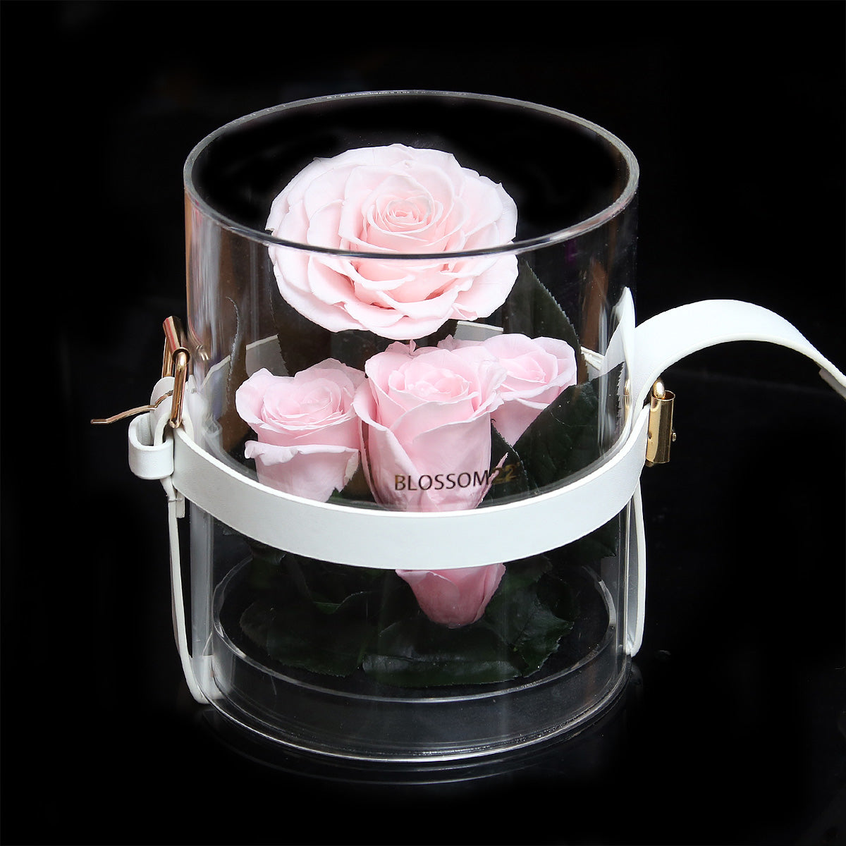 Secret Garden Preserved Flower PVC Box - Pink｜秘密花園保鮮花盒 - 粉  Blossom22hk