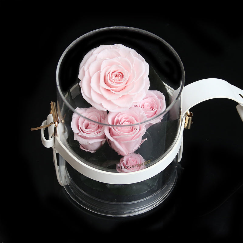 Secret Garden Preserved Flower PVC Box - Pink｜秘密花園保鮮花盒 - 粉  Blossom22hk