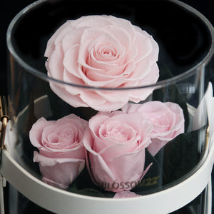 Secret Garden Preserved Flower PVC Box - Pink｜秘密花園保鮮花盒 - 粉  Blossom22hk