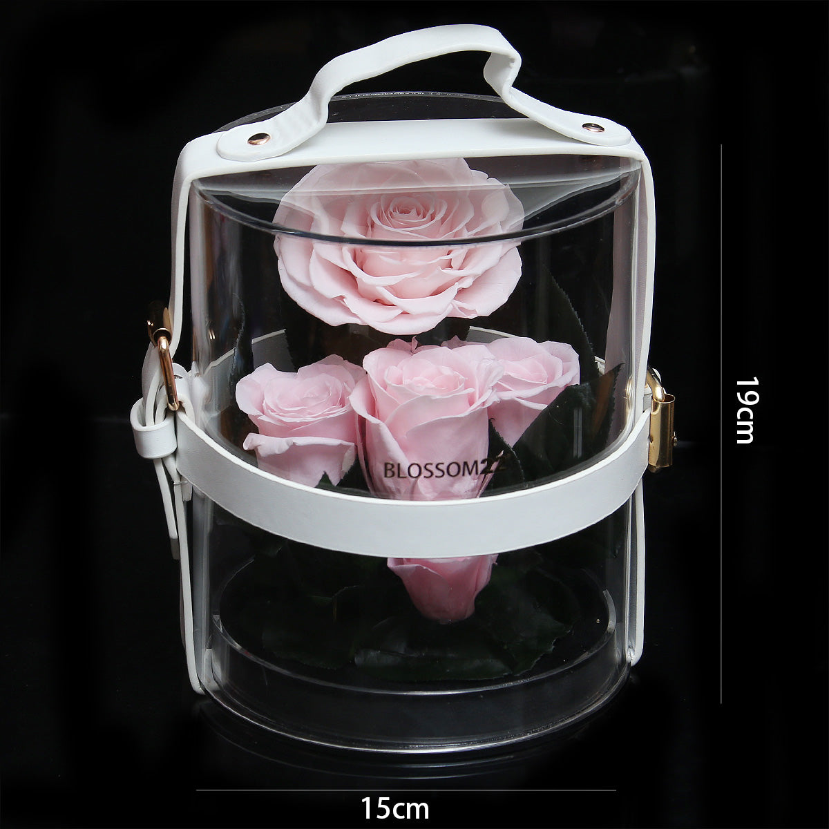 Secret Garden Preserved Flower PVC Box - Pink｜秘密花園保鮮花盒 - 粉  Blossom22hk