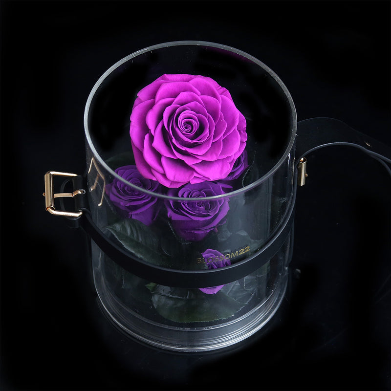 Secret Garden Preserved Flower PVC Box - Purple｜秘密花園保鮮花盒 - 紫  Blossom22hk