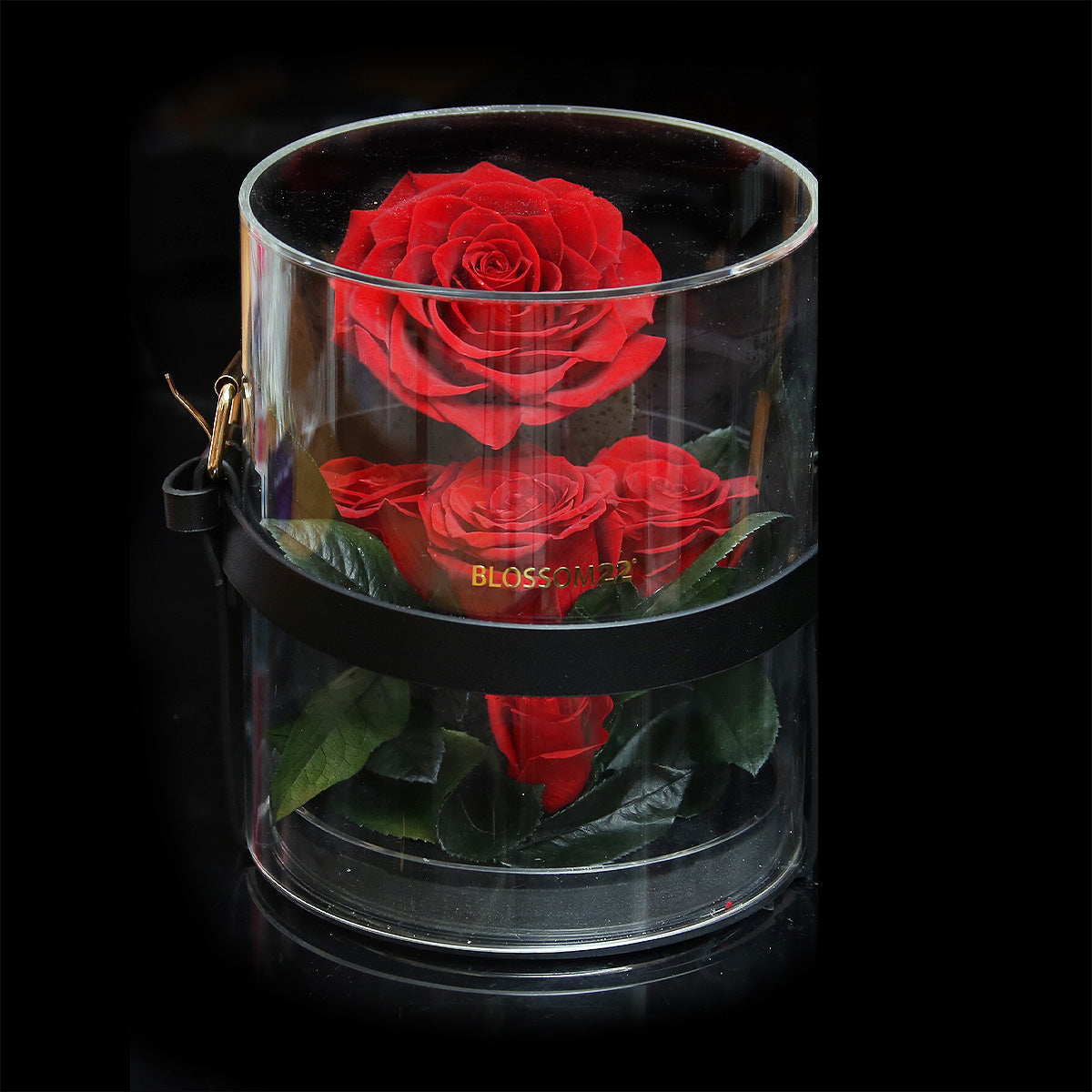 Secret Garden Preserved Flower PVC Box - RED｜秘密花園保鮮花盒 - 紅  Blossom22hk