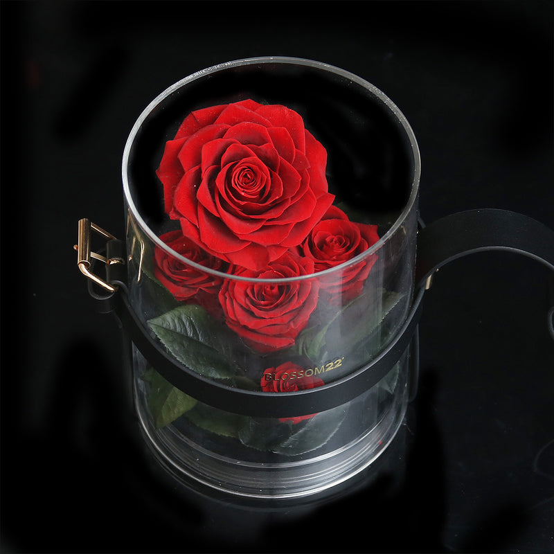 Secret Garden Preserved Flower PVC Box - RED｜秘密花園保鮮花盒 - 紅  Blossom22hk