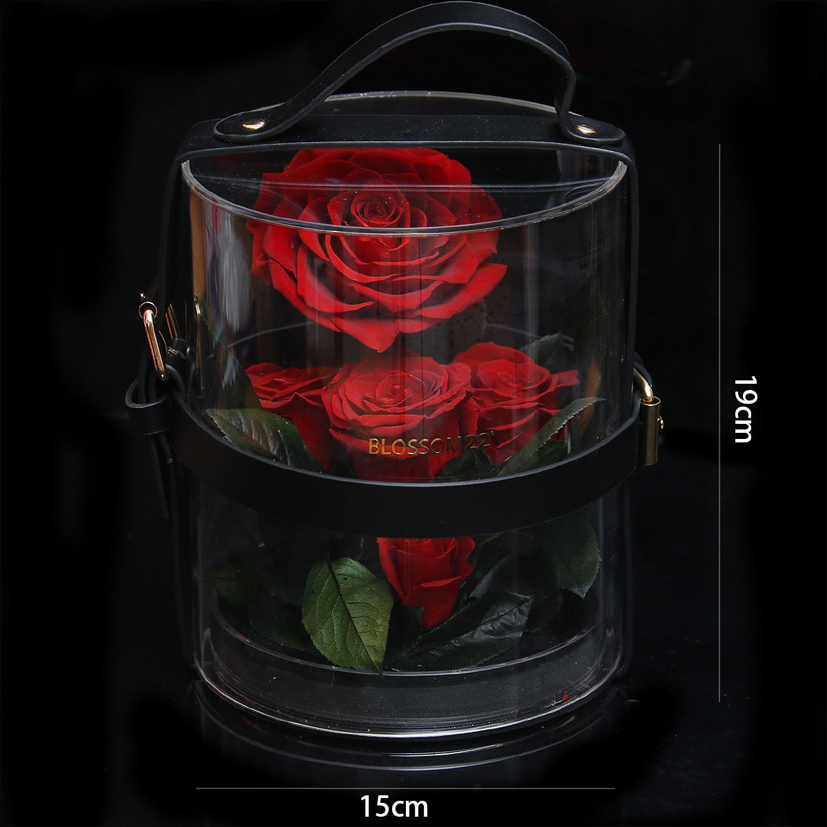 Secret Garden Preserved Flower PVC Box - RED｜秘密花園保鮮花盒 - 紅  Blossom22hk