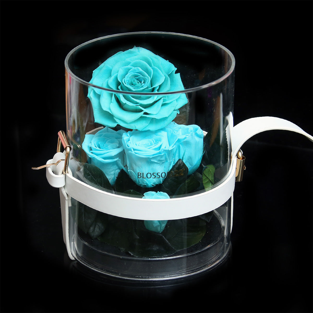 Secret Garden Preserved Flower PVC Box - Tiffany Blue｜秘密花園保鮮花盒 - 蒂芬妮  Blossom22hk