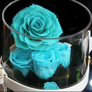 Secret Garden Preserved Flower PVC Box - Tiffany Blue｜秘密花園保鮮花盒 - 蒂芬妮  Blossom22hk