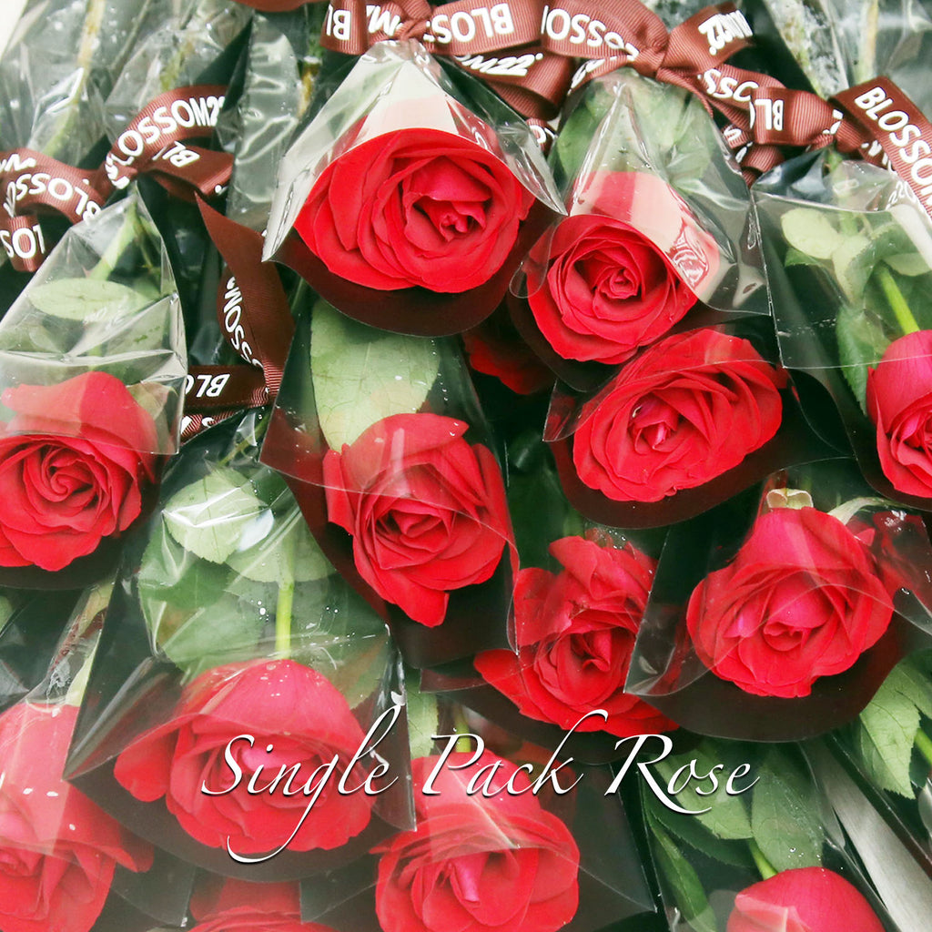 Single Pack Rose｜單枝獨立玫瑰  Blossom22°