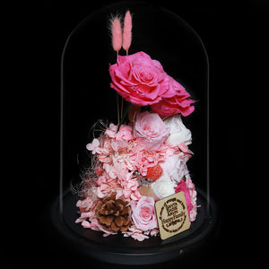 XXL Preserved-Flower•Glass Bell Jar ｜特大版保鮮花瓶- Two Tone Pink 雙色粉紅  Blossom22hk